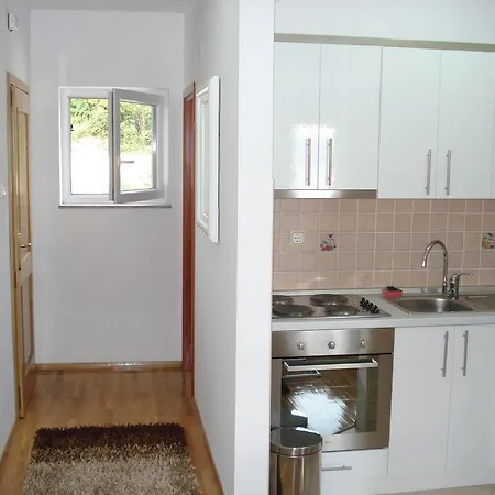 House Danica Apartment